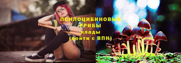 дмт Алексеевка