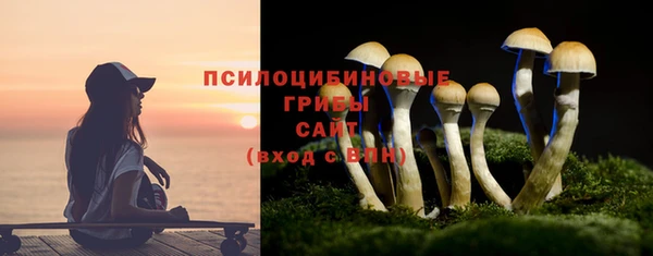 дмт Алексеевка