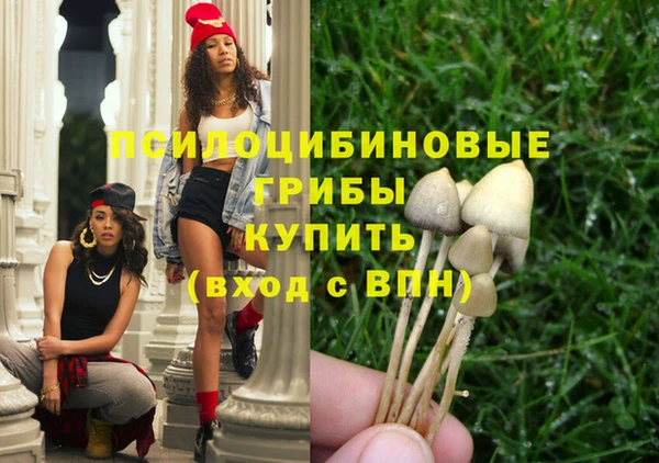 дмт Алексеевка