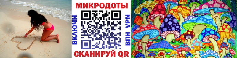 Псилоцибиновые грибы Psilocybine cubensis  Фёдоровский 