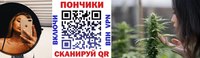 OMG как зайти  цена наркотик  Фёдоровский  Канабис конопля 